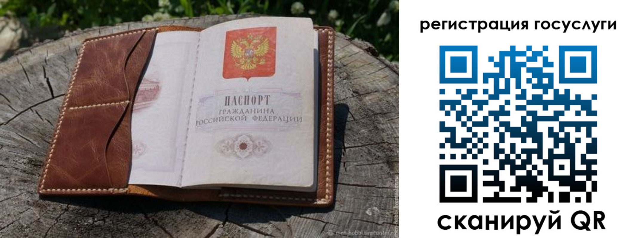 временная регистрация надежно в Приморском крае